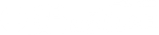 鶏に恋した日